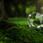 Imagen del planeta Tierra contenido en una gota de agua sobre el suelo musgoso de un bosque.