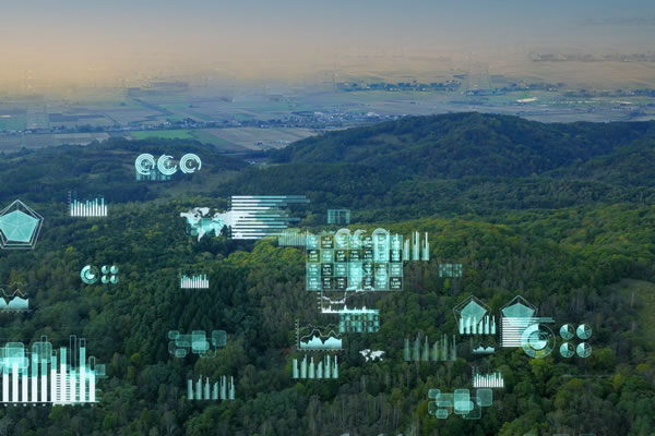 Digital data overlays a forest landscape