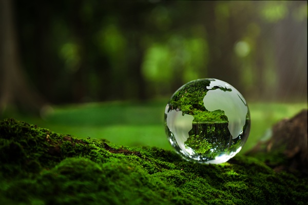 Glass globe on lush green moss