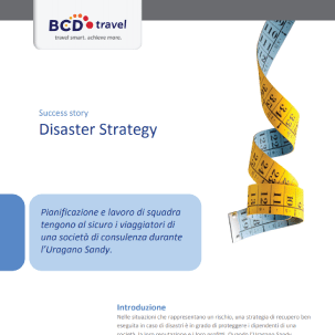 Disaster Strategy