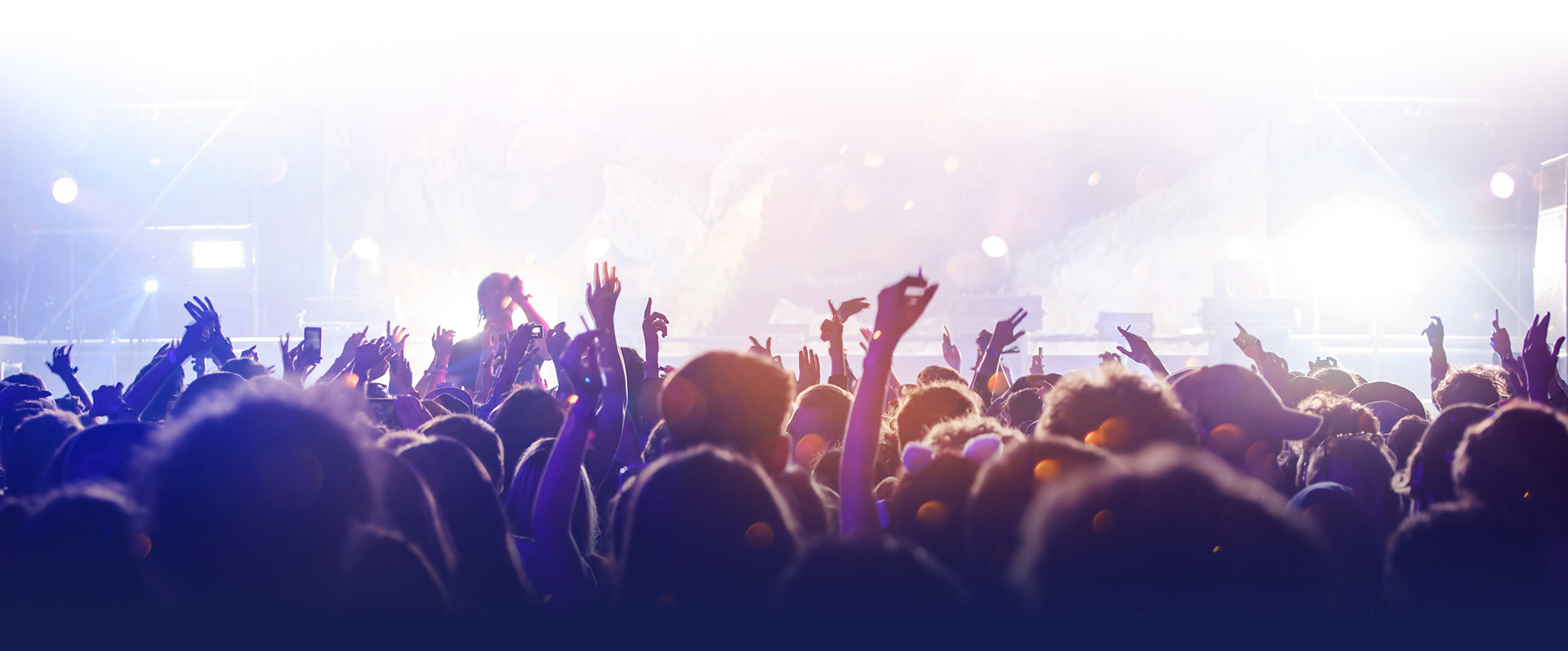 Excited crowd watching a music performance in a crowded venue