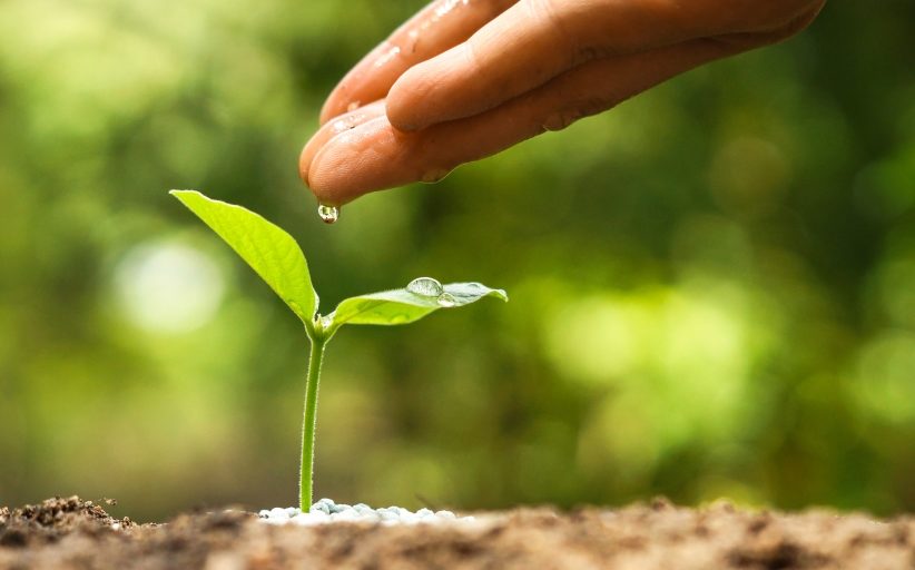 Fourth Gold rating for BCD Travel’s sustainability efforts