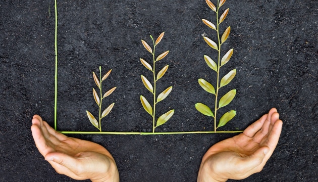 BCD Travel goes all in with sustainability