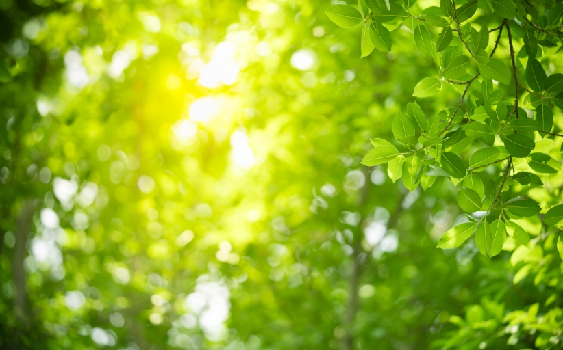 Join the fight to alleviate air pollution on World Environment Day 2019