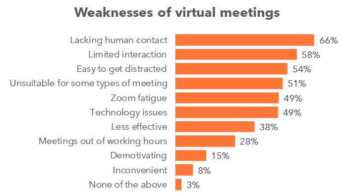 Le debolezze dei meeting virtuali
