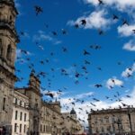 Vliegende vogels boven historisch stadsplein met gebouwen.