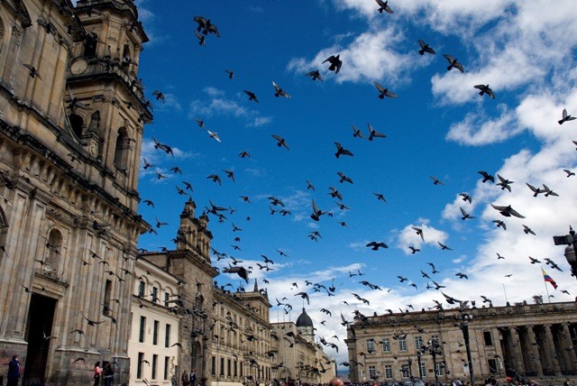 Vliegende vogels boven historisch stadsplein met gebouwen.