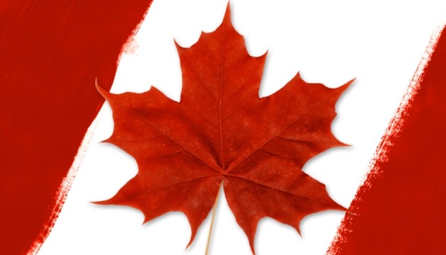 Rode esdoornblad met Canadese vlag kleuren