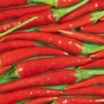 Rode chilipepers op een groene achtergrond