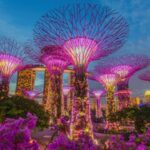 Verlichte Supertrees bij nacht in Singapore.