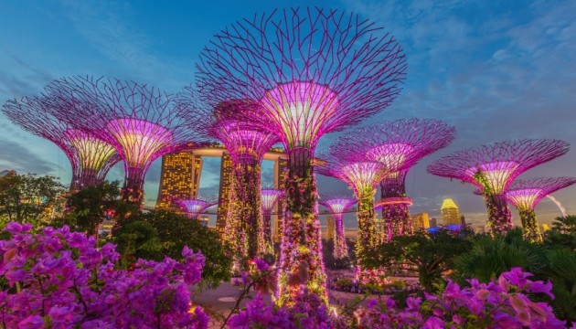 Verlichte Supertrees bij nacht in Singapore.