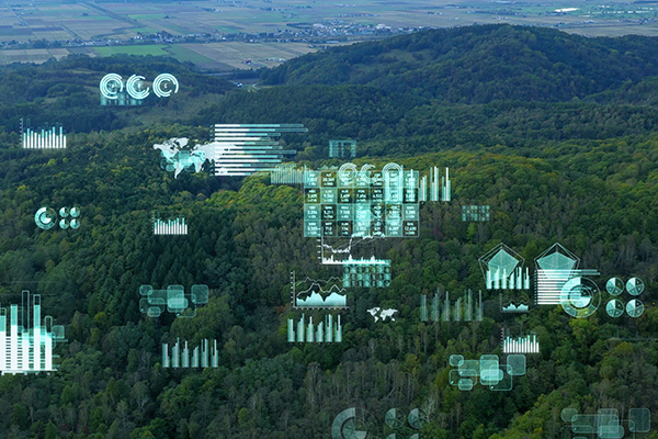 Futuristic data overlays on a forest landscape.