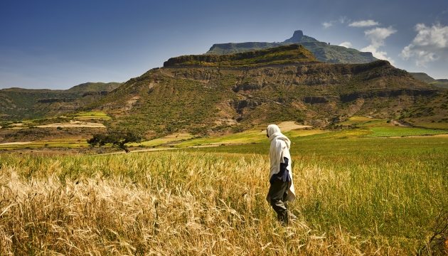 Persoon in velden voor Ethiopische bergen
