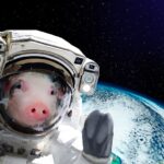 Varken astronaut vliegt boven de aarde in de ruimte.