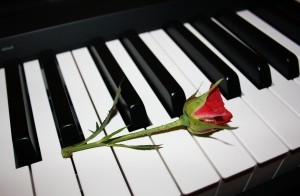 Rode roos op pianotoetsen