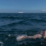 Zwemmer in zee met veerboot op de achtergrond