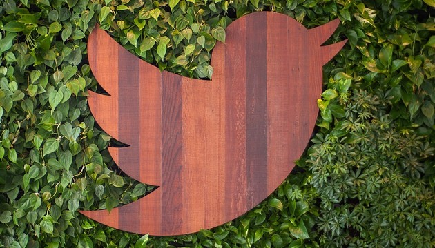 Houten Twitter-logo tegen groene bladeren muur.