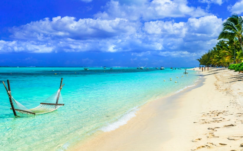 Tropisch strand met hangmat en palmbomen.