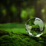 Glass globe on lush green moss
