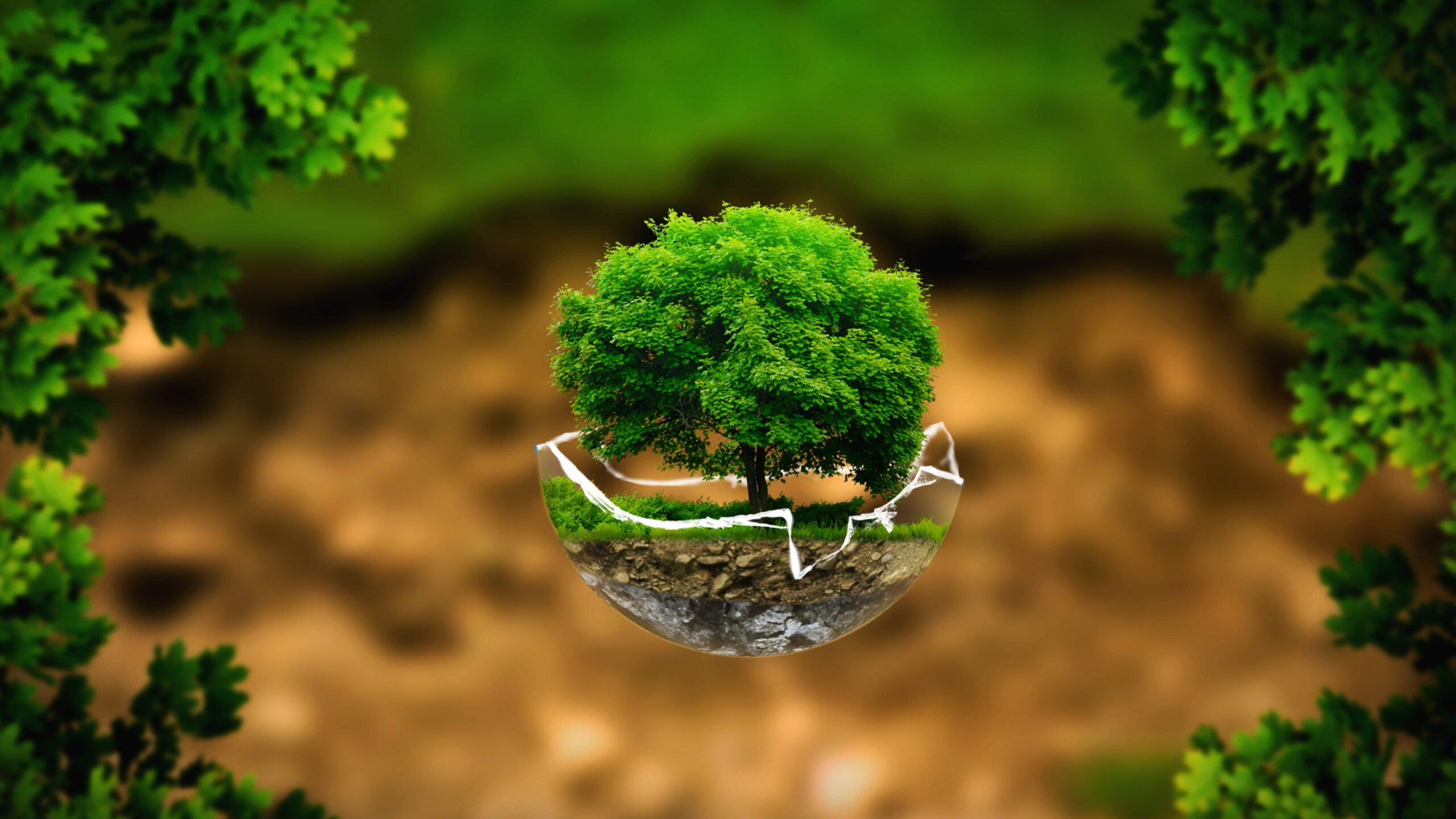 Tree in half-egg shell, symbolizing eco-conservation.