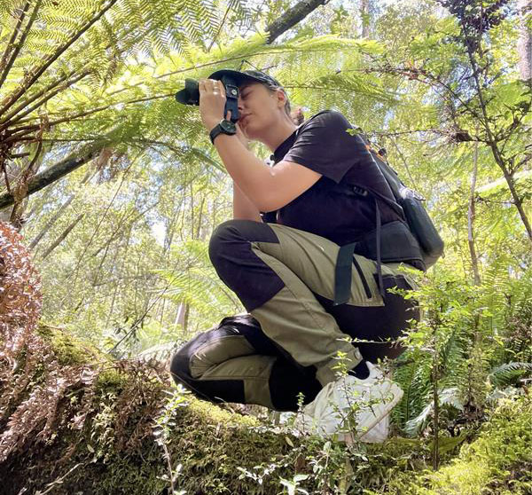 Person photographing forest canopy while crouching on a mossy log