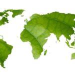 World map made of green leaves