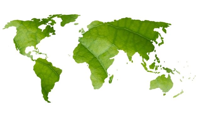 World map made of green leaves