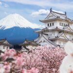 Japanese castle, cherry blossoms, mountain background