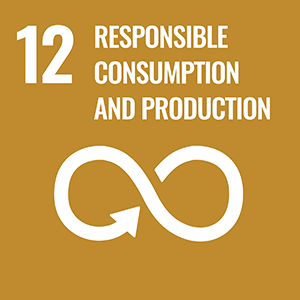 Responsible consumption and production Sustainable Development Goal