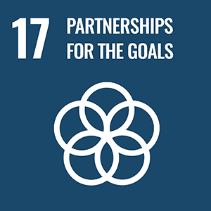 Partnership Sustainable Development Goal