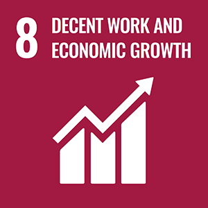 Decent work and economic growth Sustainable Development Goal