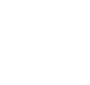 icon expertise