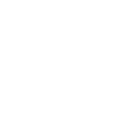 icon secure