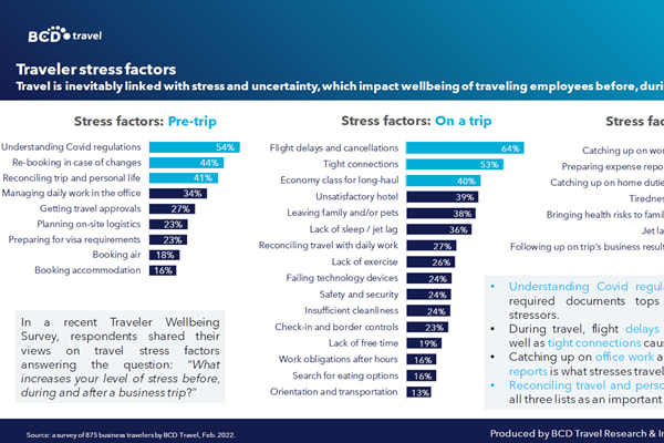 Infographic showing Traveler stress factors