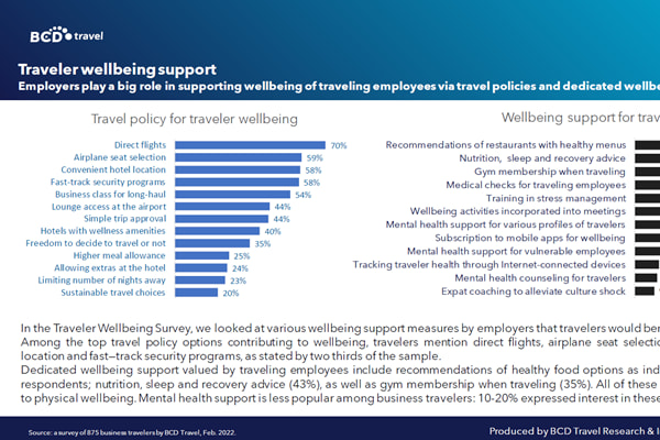 Infographic showing Traveler wellbeing support