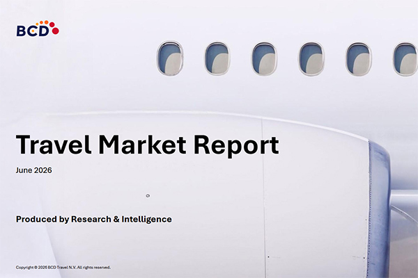 Travel Market Report cover on airplane background